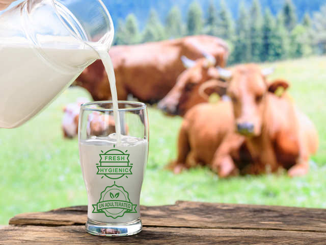 Fresh Cow Milk - Nature Milk